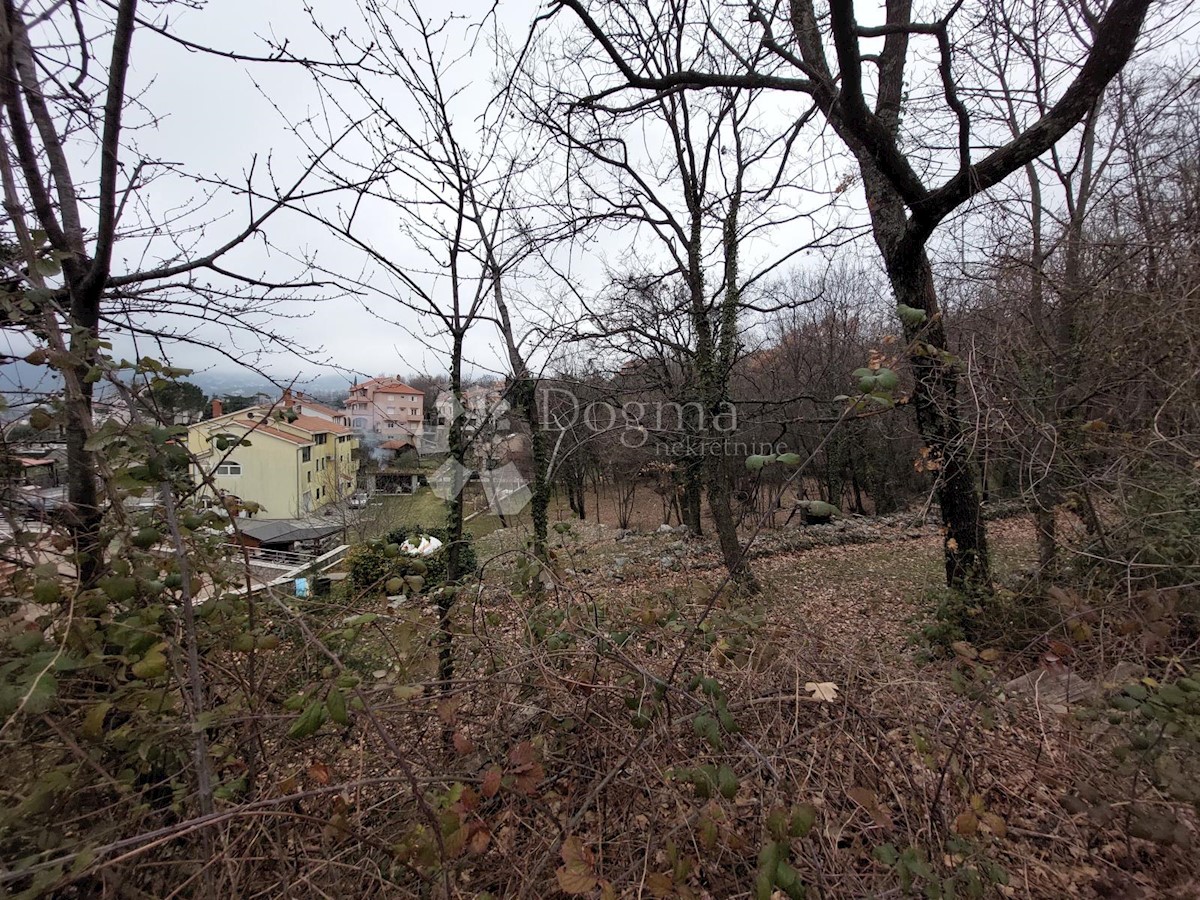 RUBEŠI