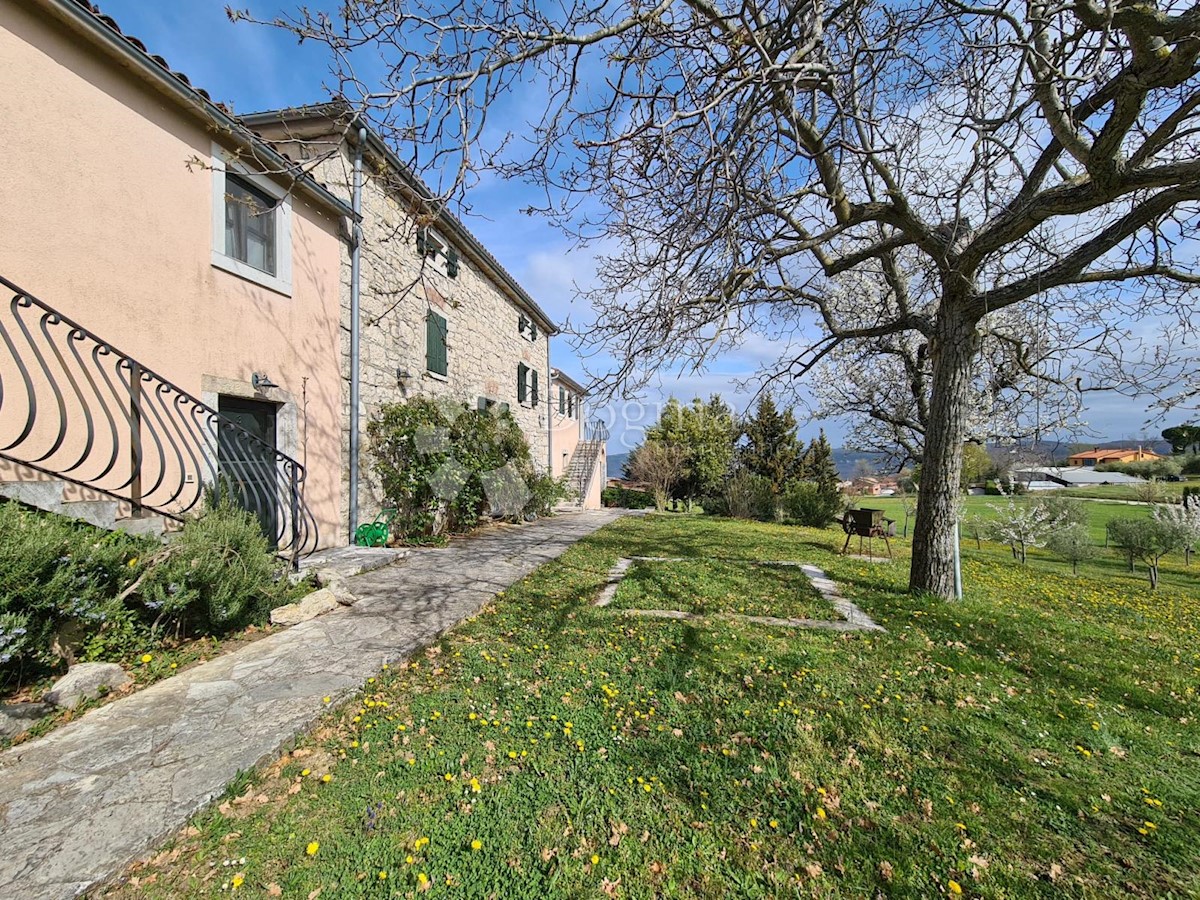 VIŽINADA