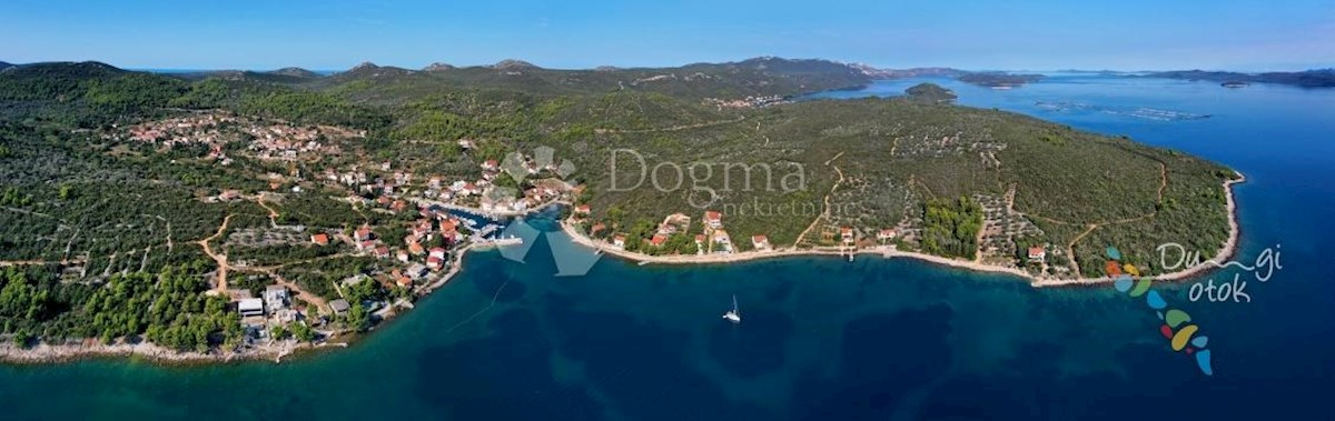 ŽMAN