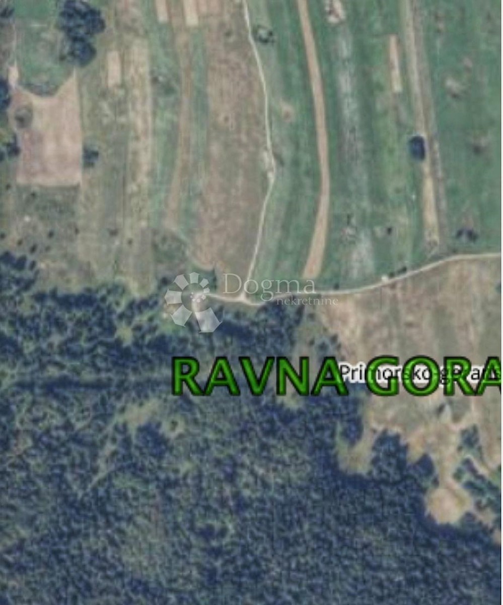 RAVNA GORA
