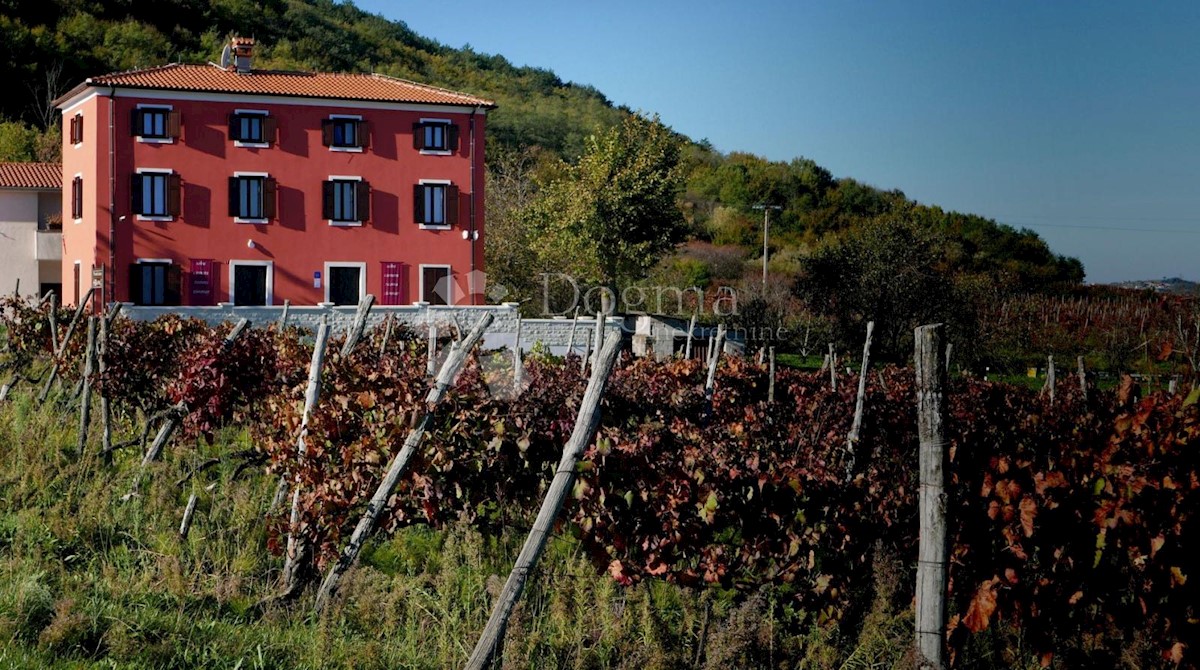 MOTOVUN
