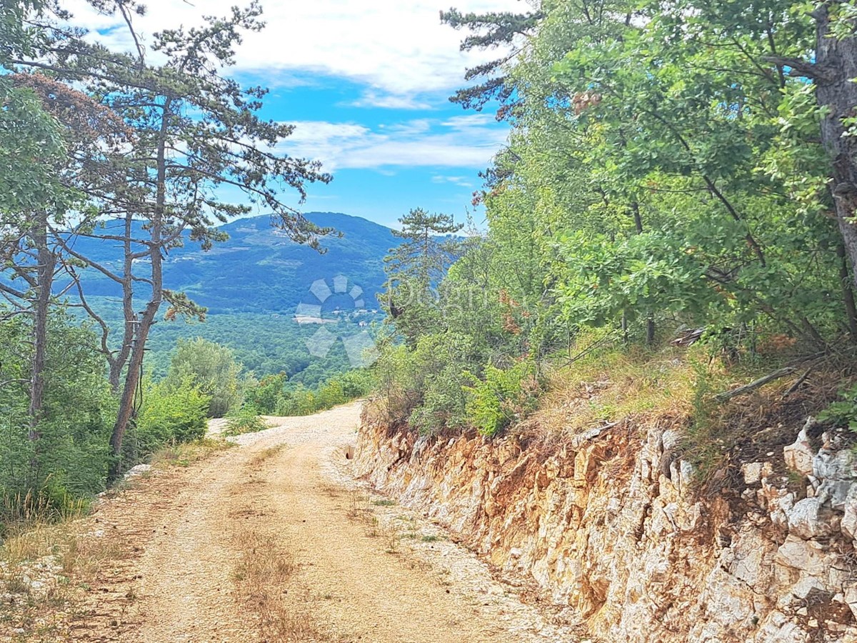 SOVINJAK