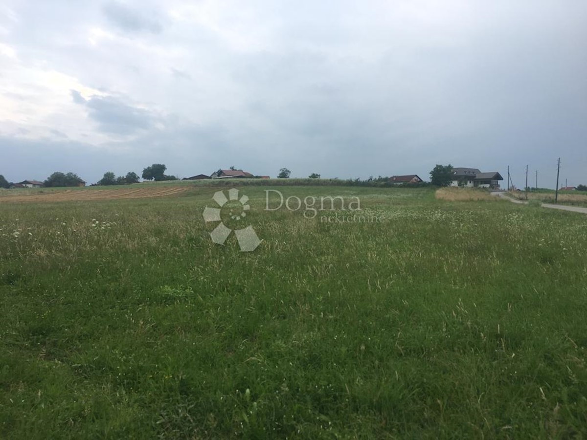 DONJA STUBICA