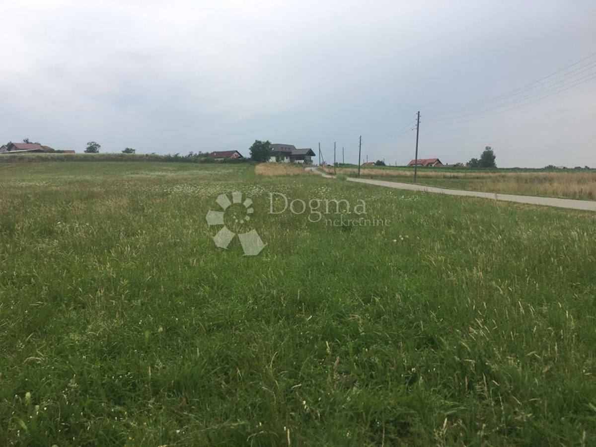 DONJA STUBICA