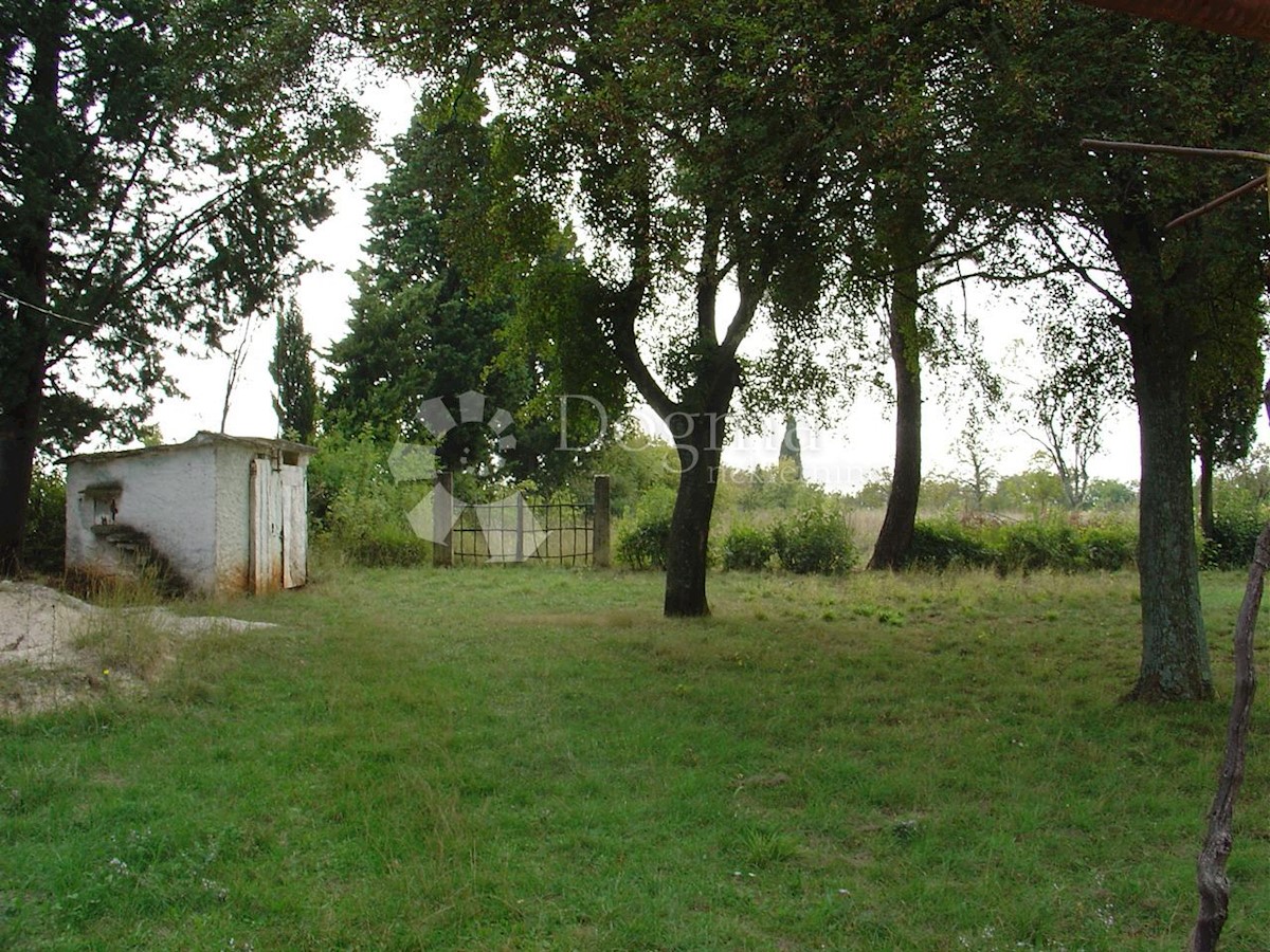 BARBAN