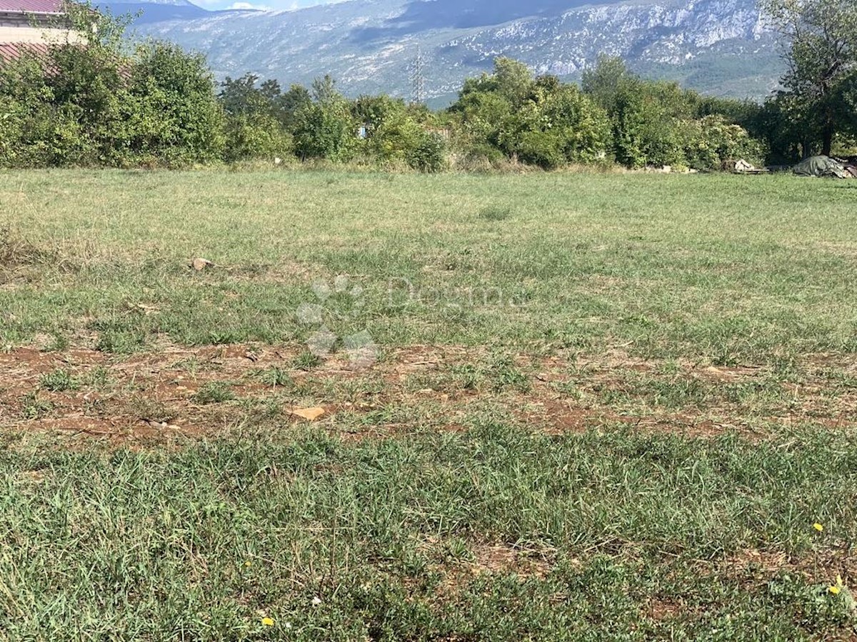 BLAŠKOVIĆI