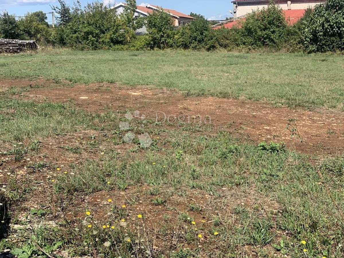 BLAŠKOVIĆI
