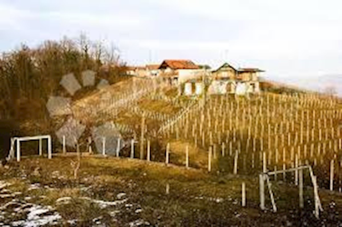 MIHOVLJAN
