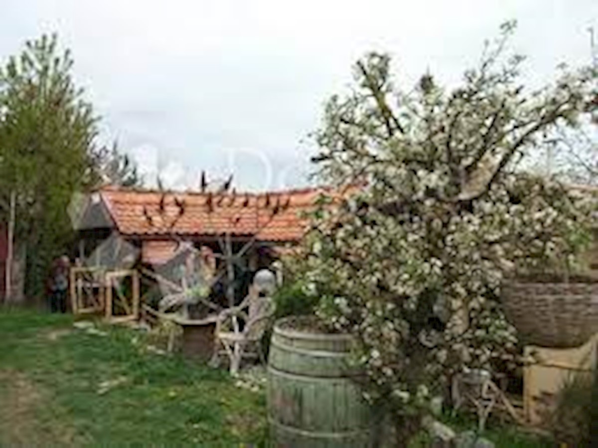 MIHOVLJAN