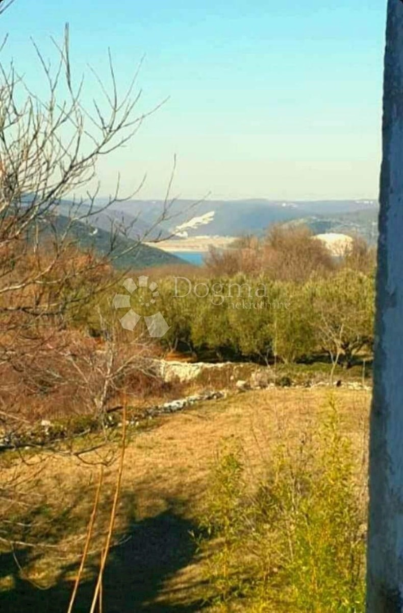 KORELIĆI