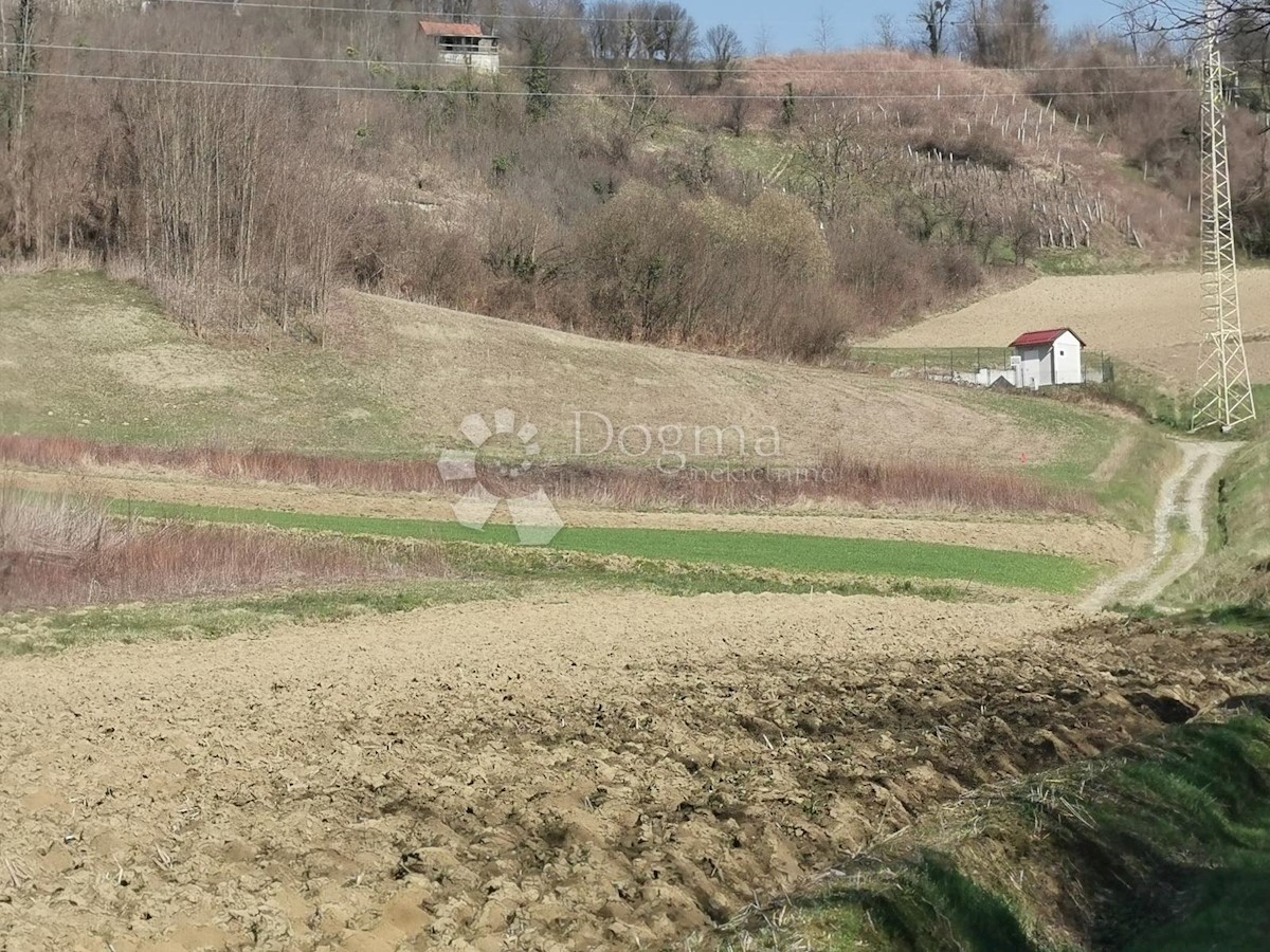 VELIKA ERPENJA