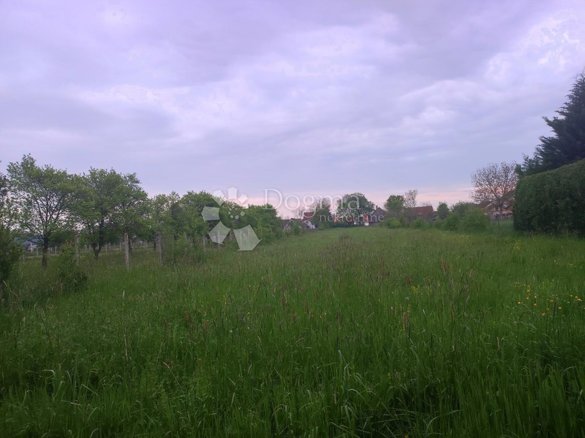 KUČE