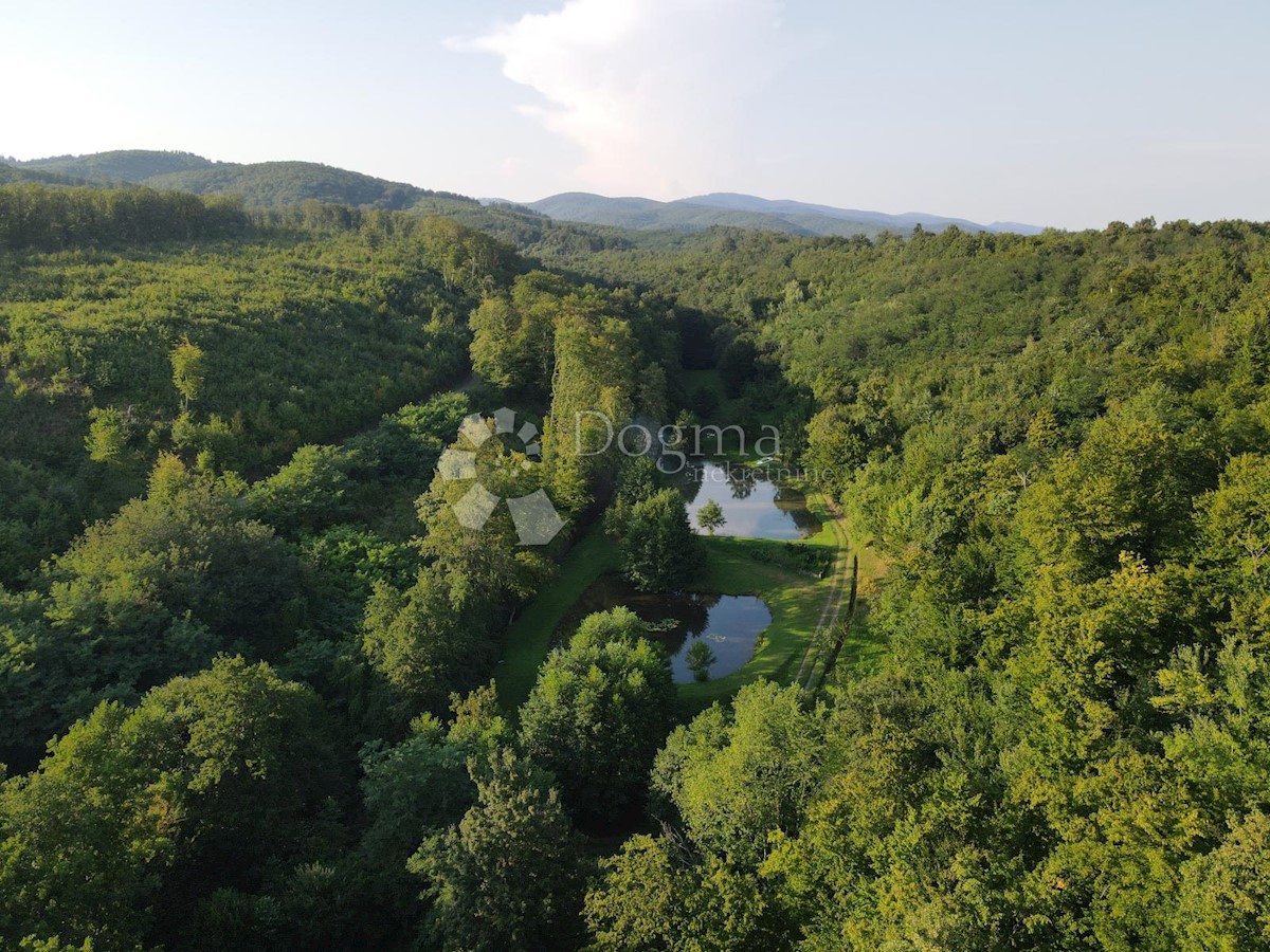 ŠUMETLICA