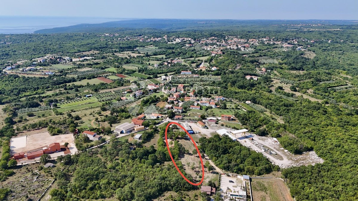 RAKALJ