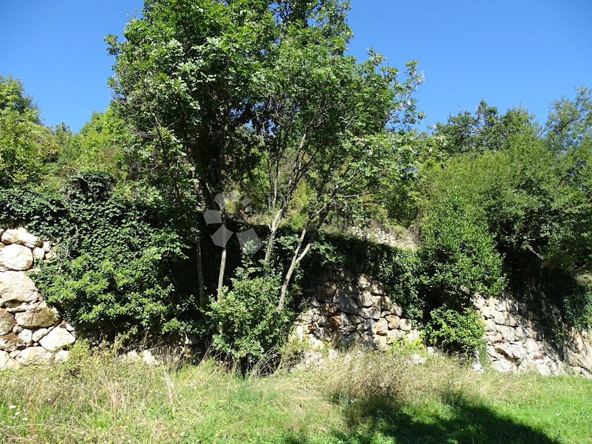DOBREĆ