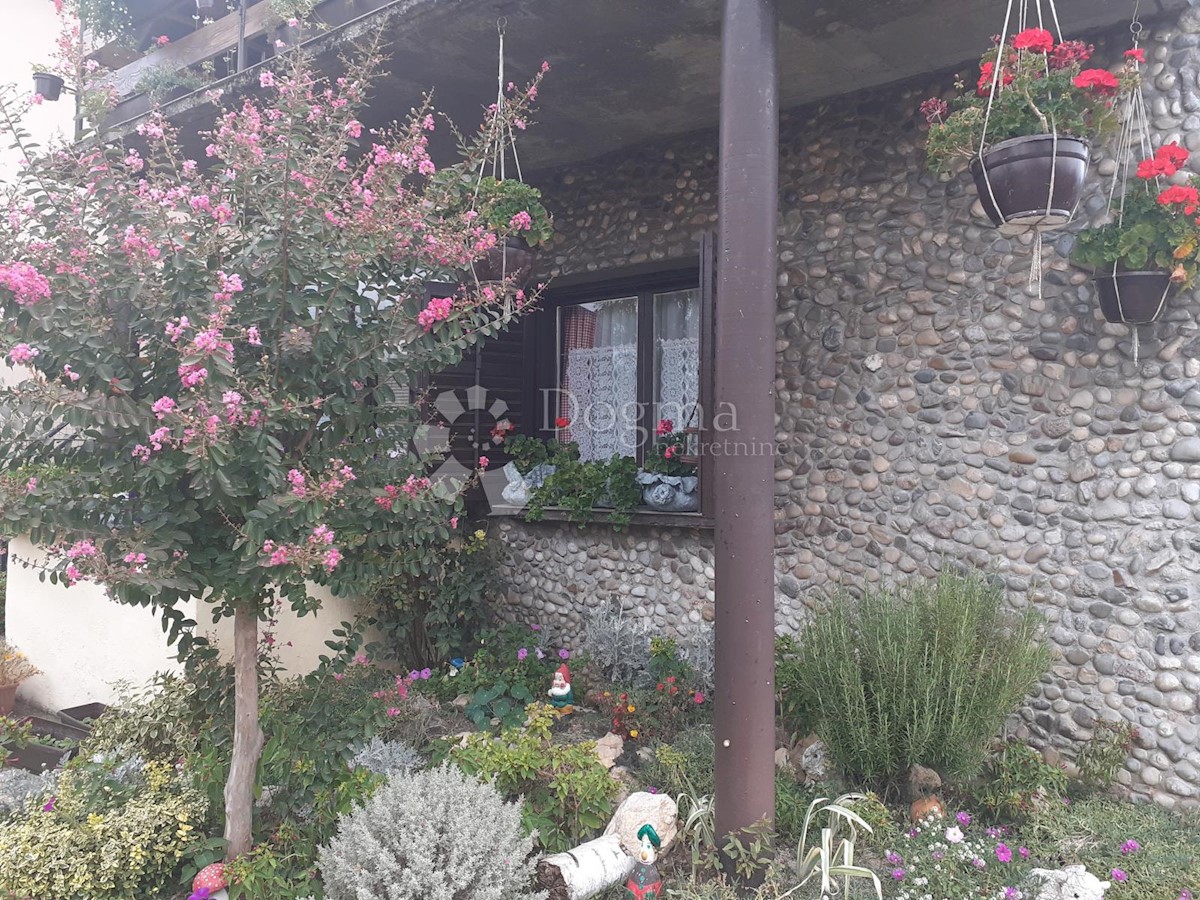 PETRUŠEVEC