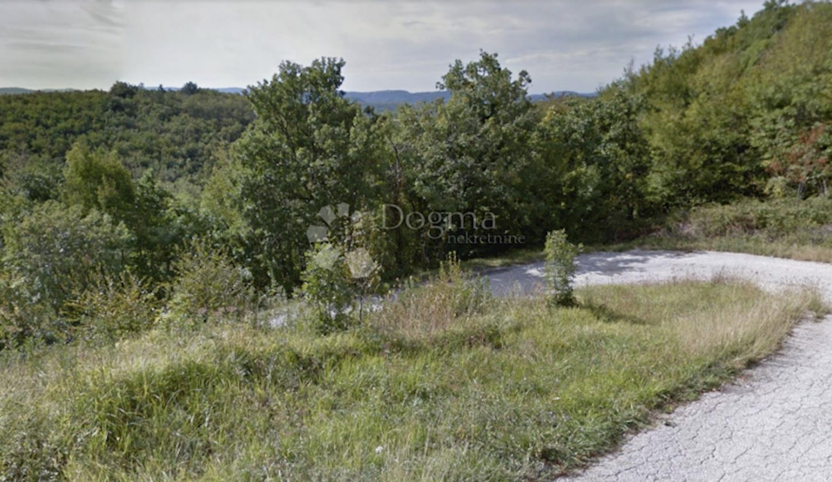 ROČ