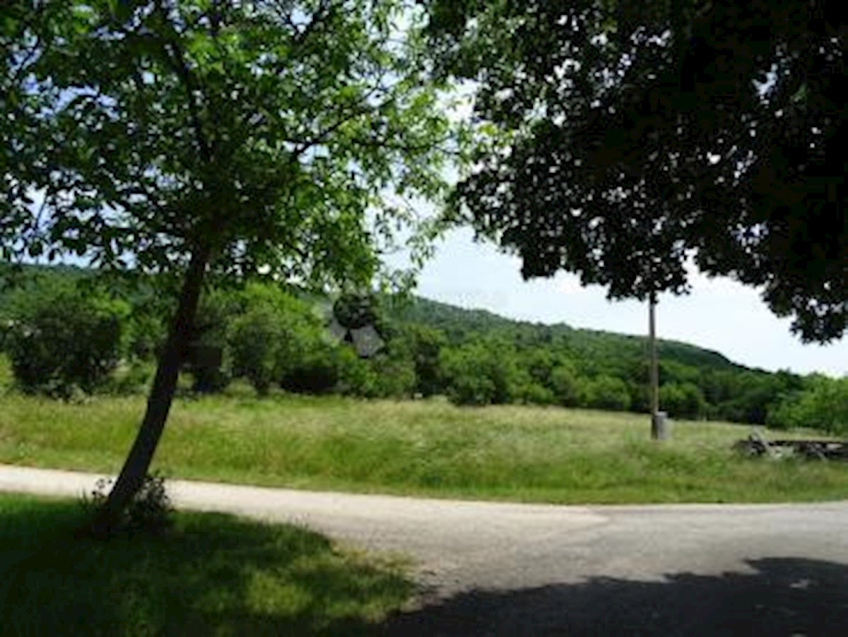 ROČ