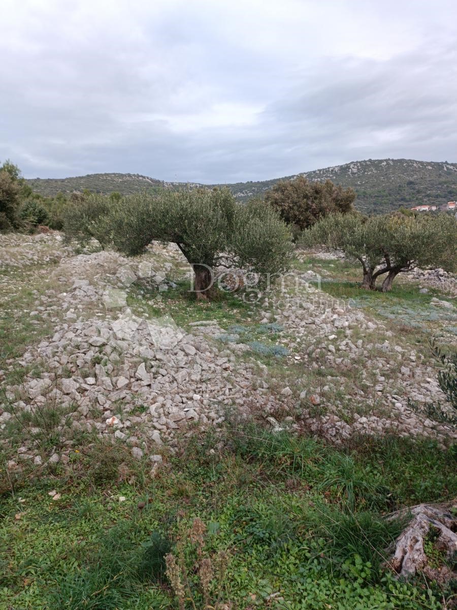 VINIŠĆE