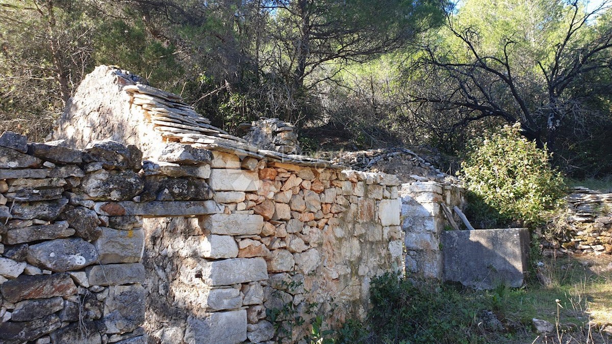 HVAR