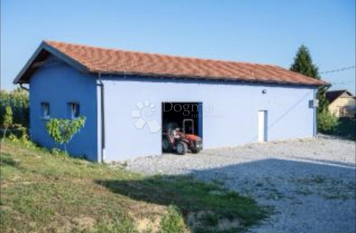 BUNJANI