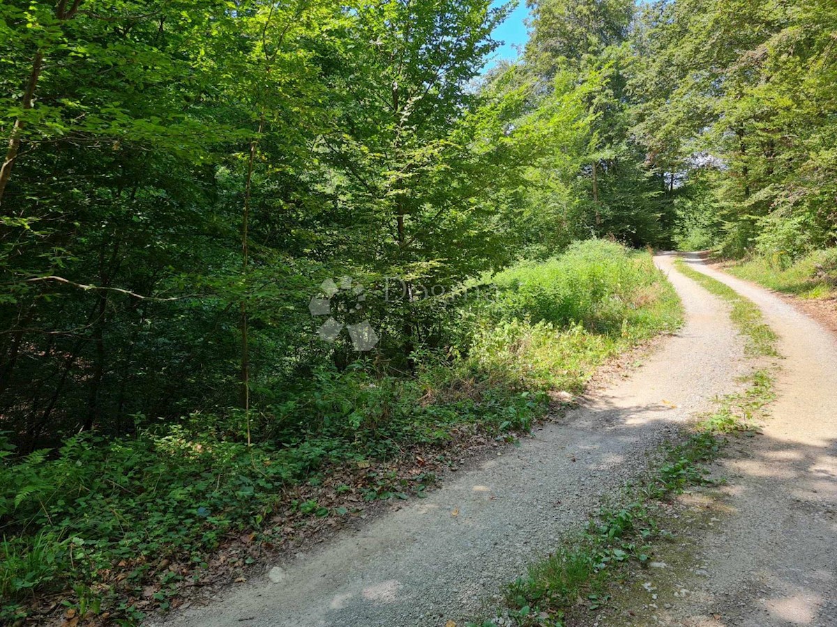 GORNJE BUKOVLJE