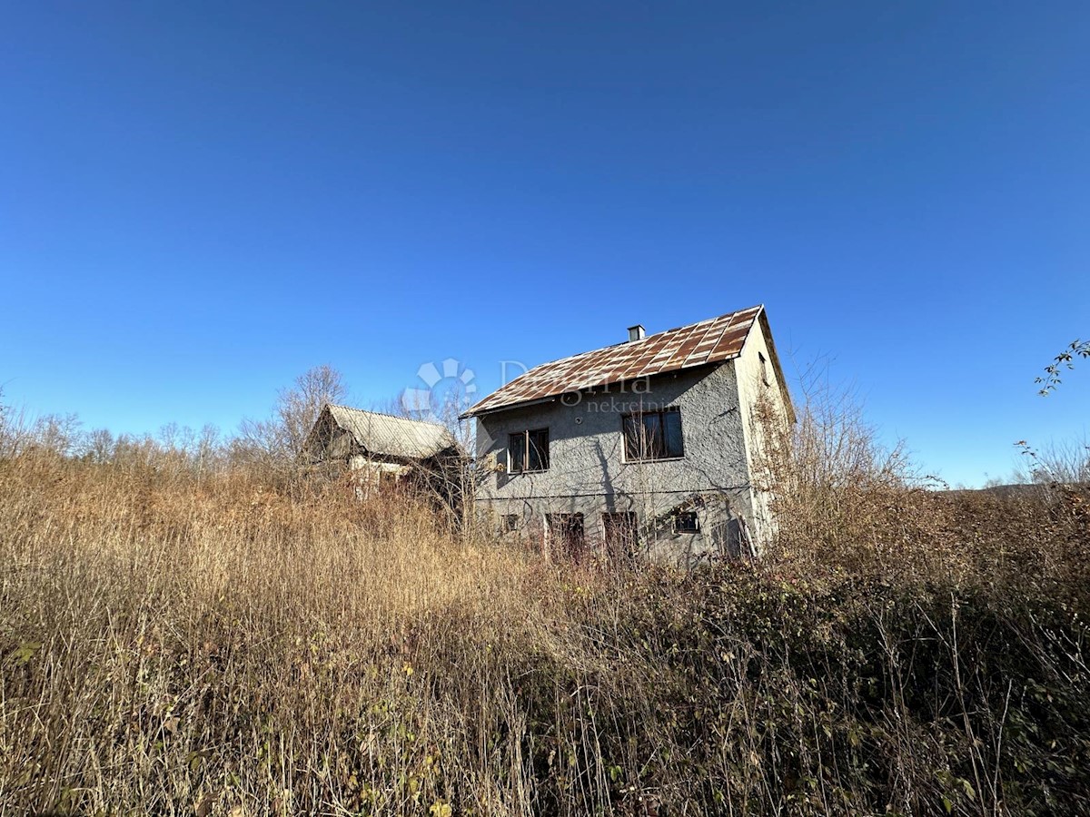 VELIKI ŽITNIK