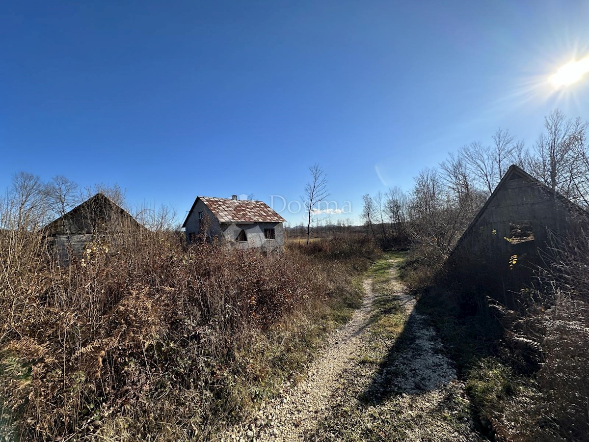 VELIKI ŽITNIK