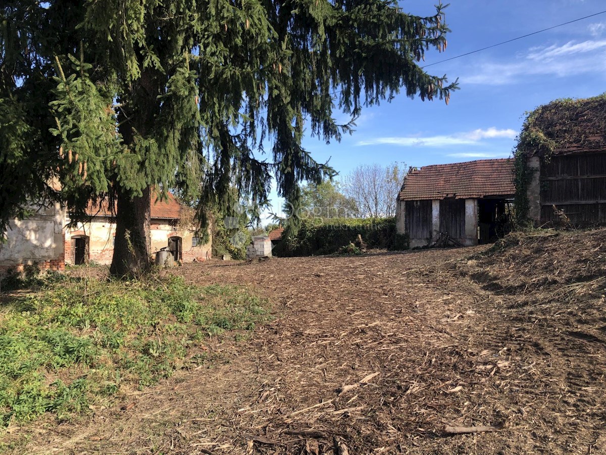 KAŠTELANEC