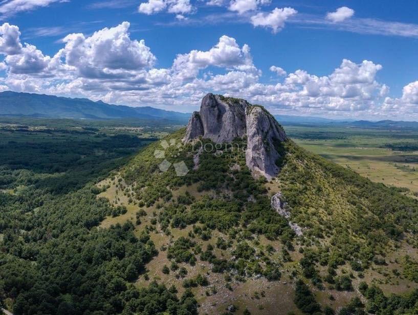 DRENOVAC RADUČKI