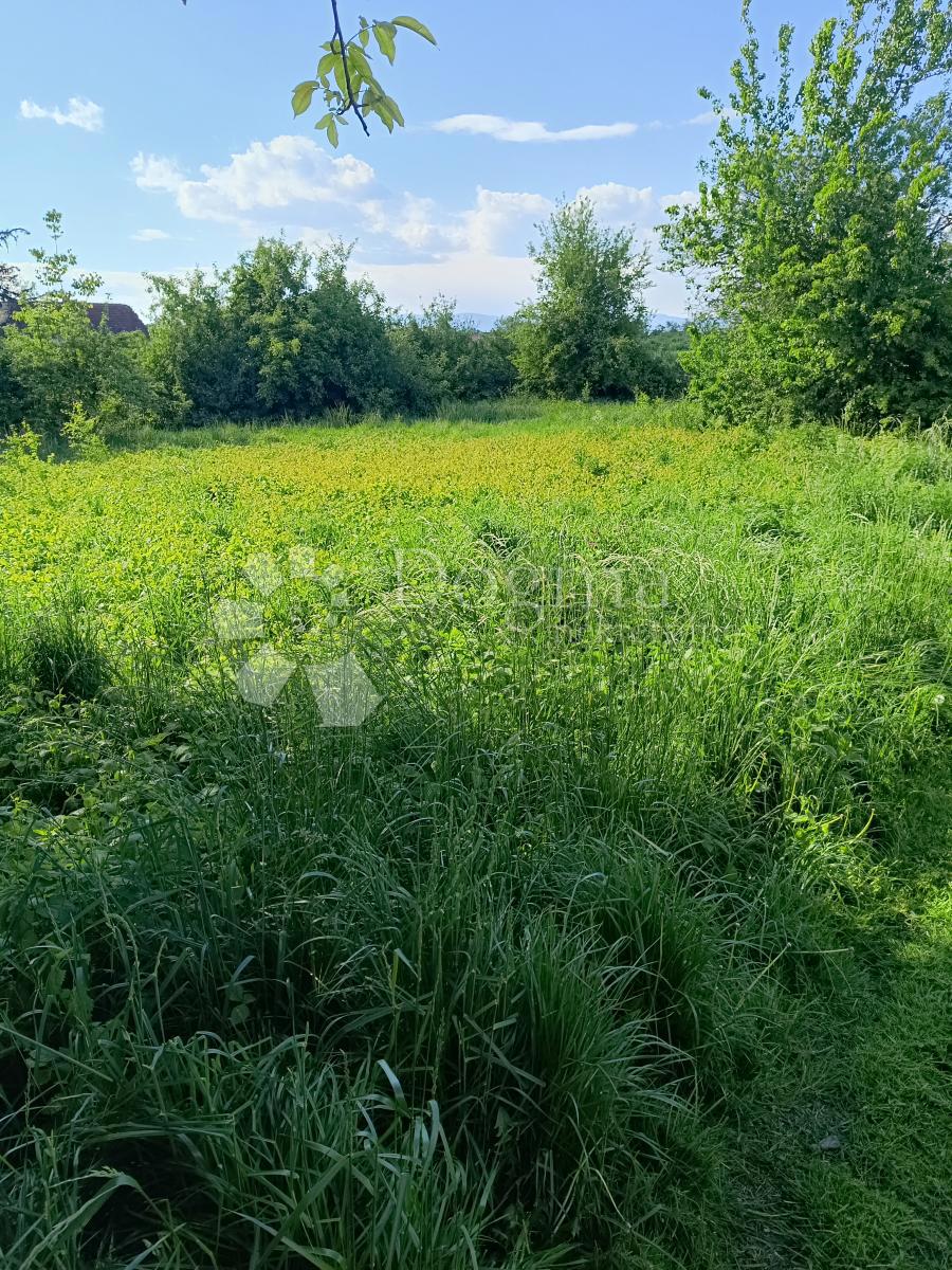 RUGVICA