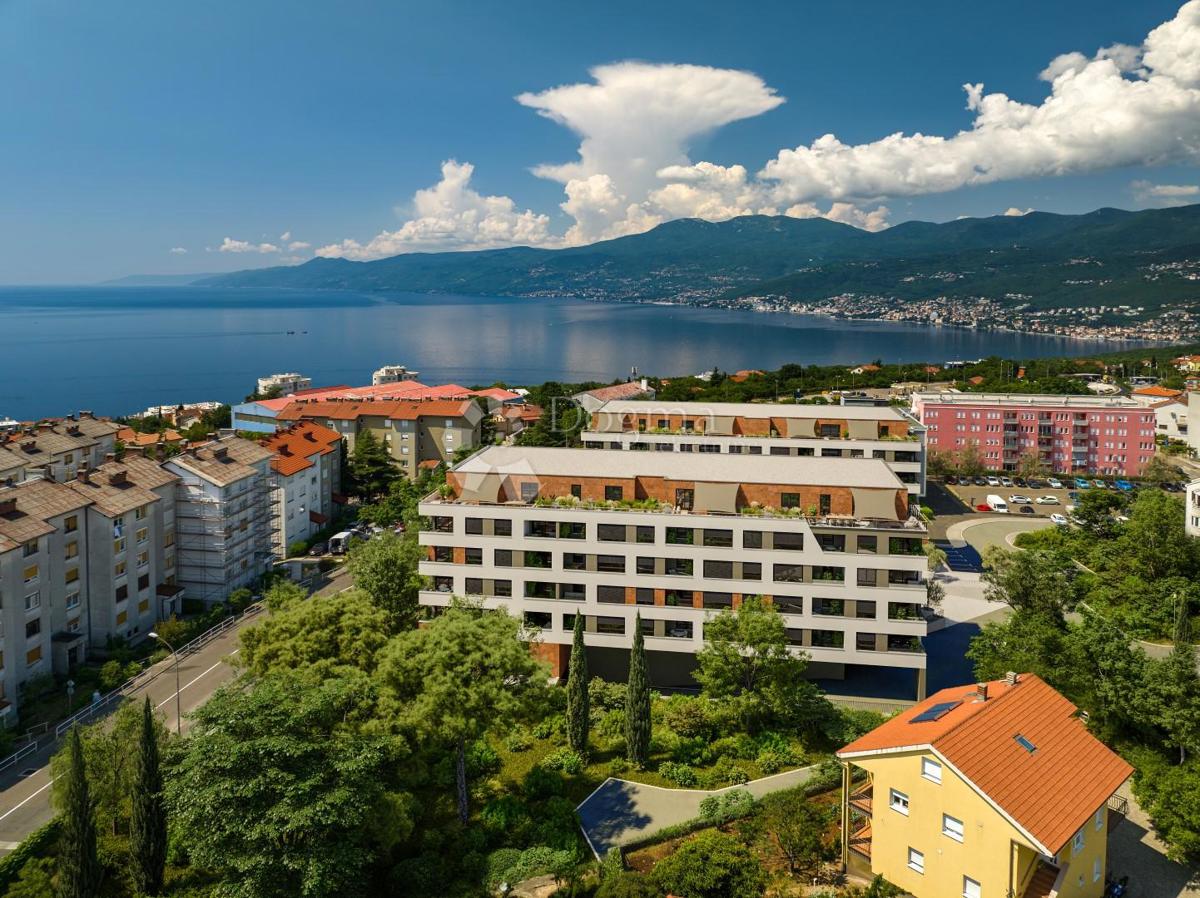 SRDOČI