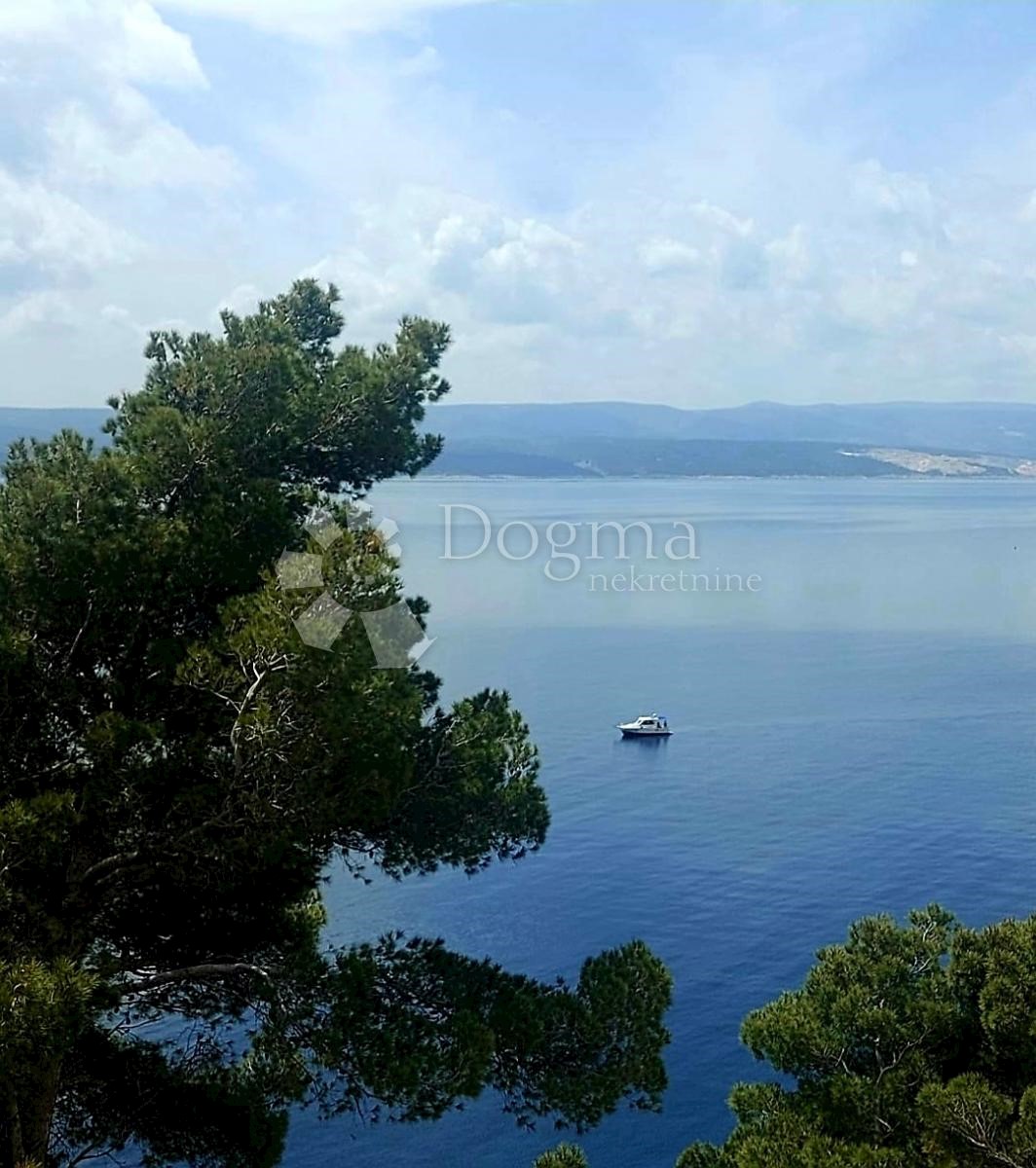 MARUŠIĆI