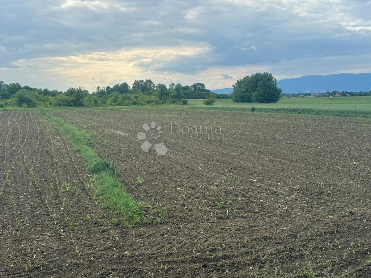 ŠĆITARJEVO