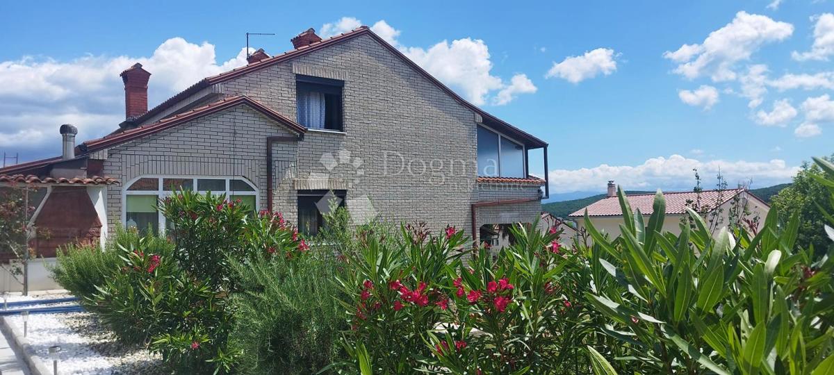 ČIŽIĆI