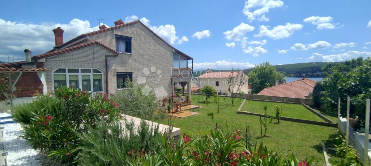 ČIŽIĆI