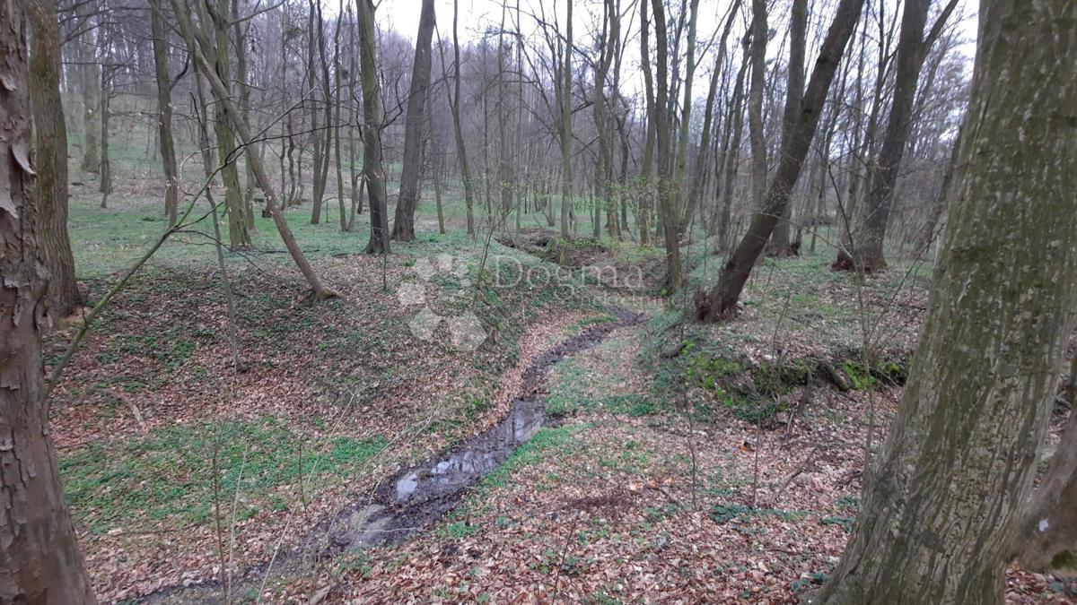 GRADIŠČAK