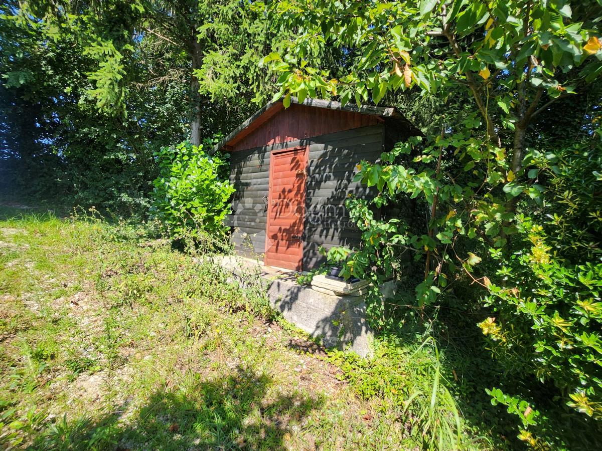 HRŠAK BREG