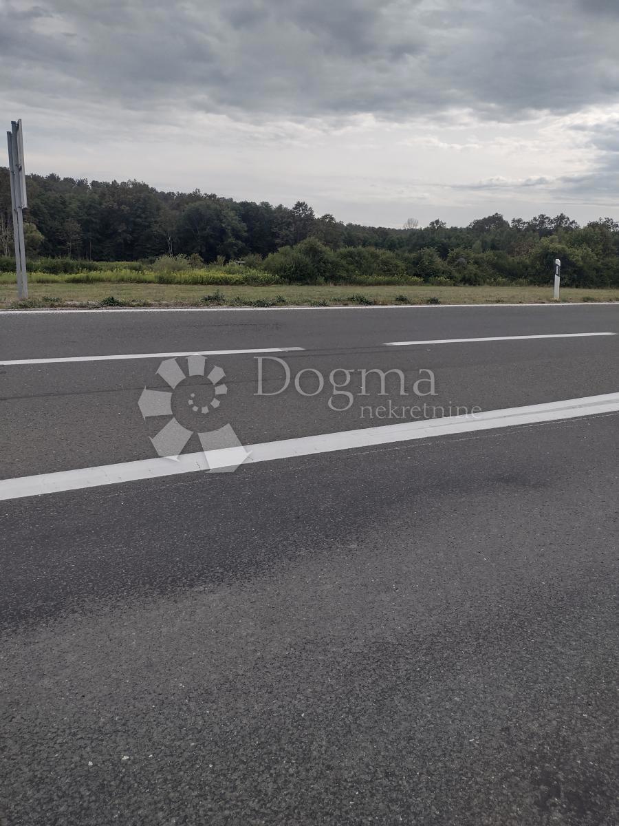 DONJA ČEMERNICA
