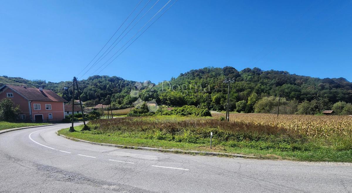 DONJA PAČETINA