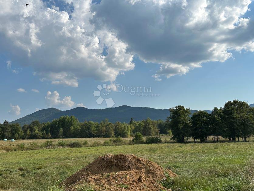 ALEKSINICA