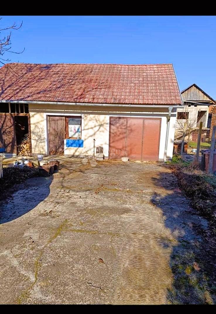 ČIČKOVINA