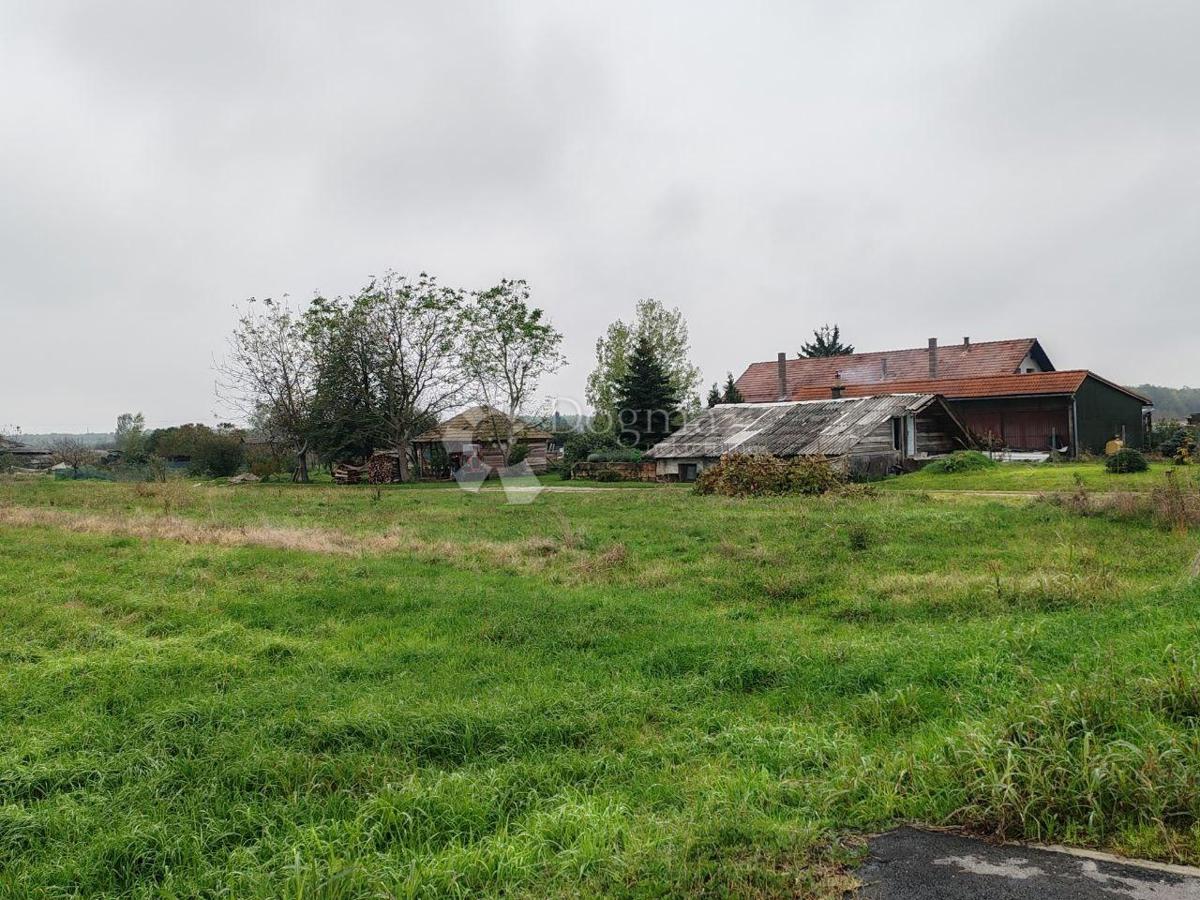 SRAČINEC