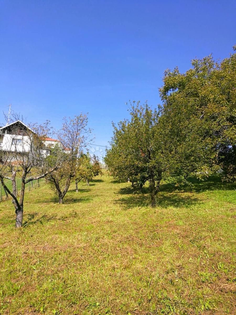 VARAŽDIN BREG