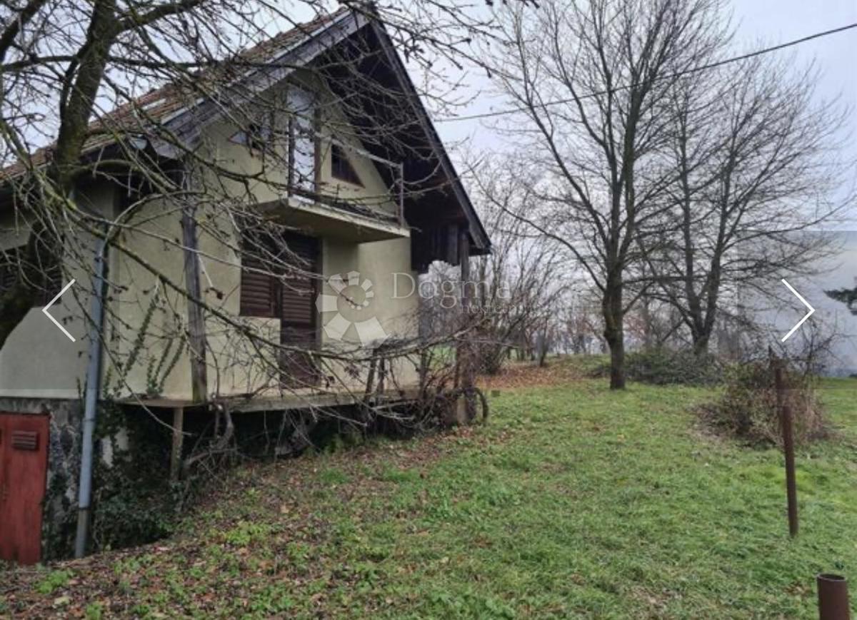 MIHOLJANEC