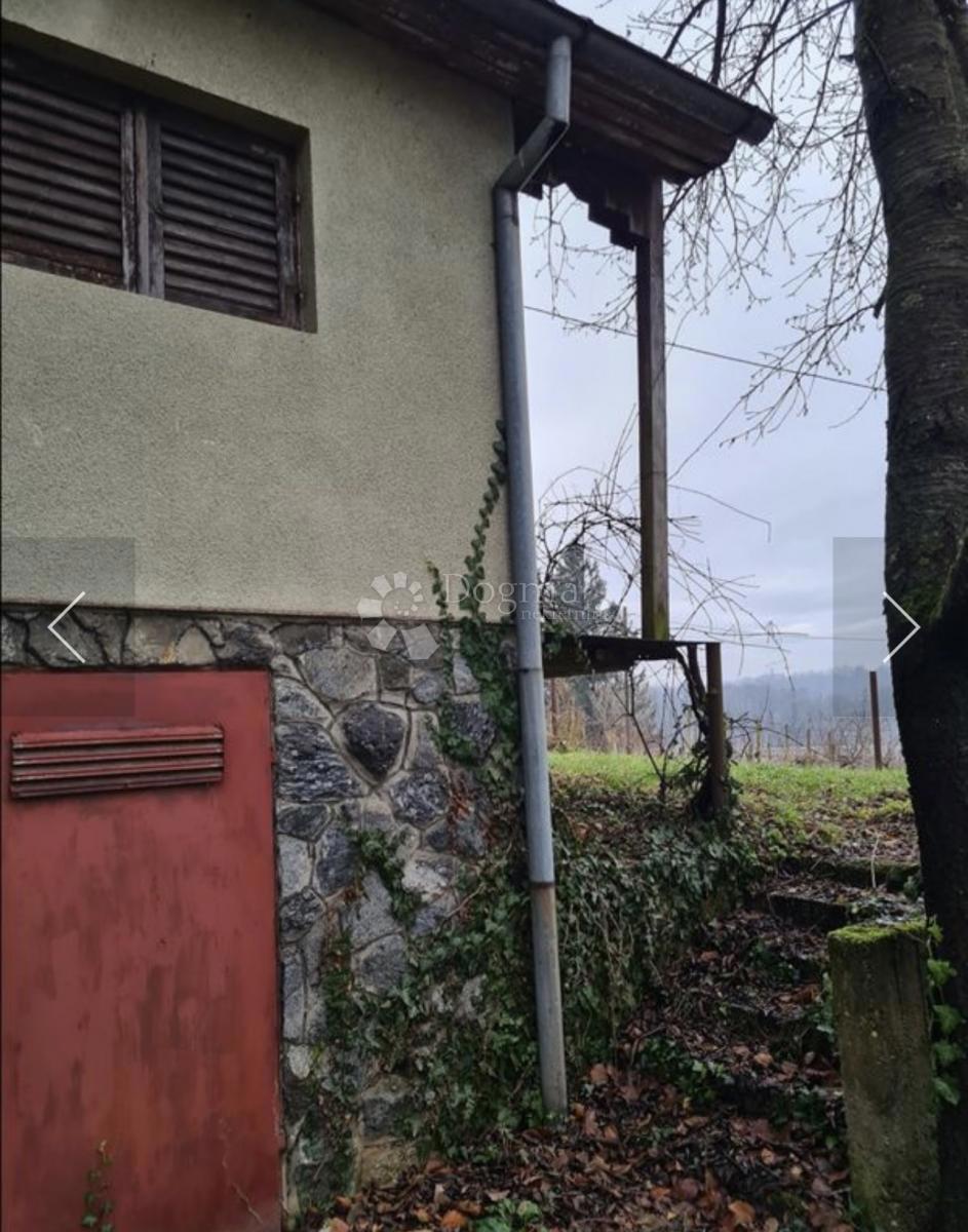 MIHOLJANEC