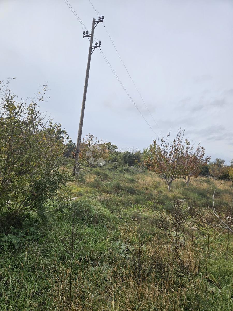 POLAČA