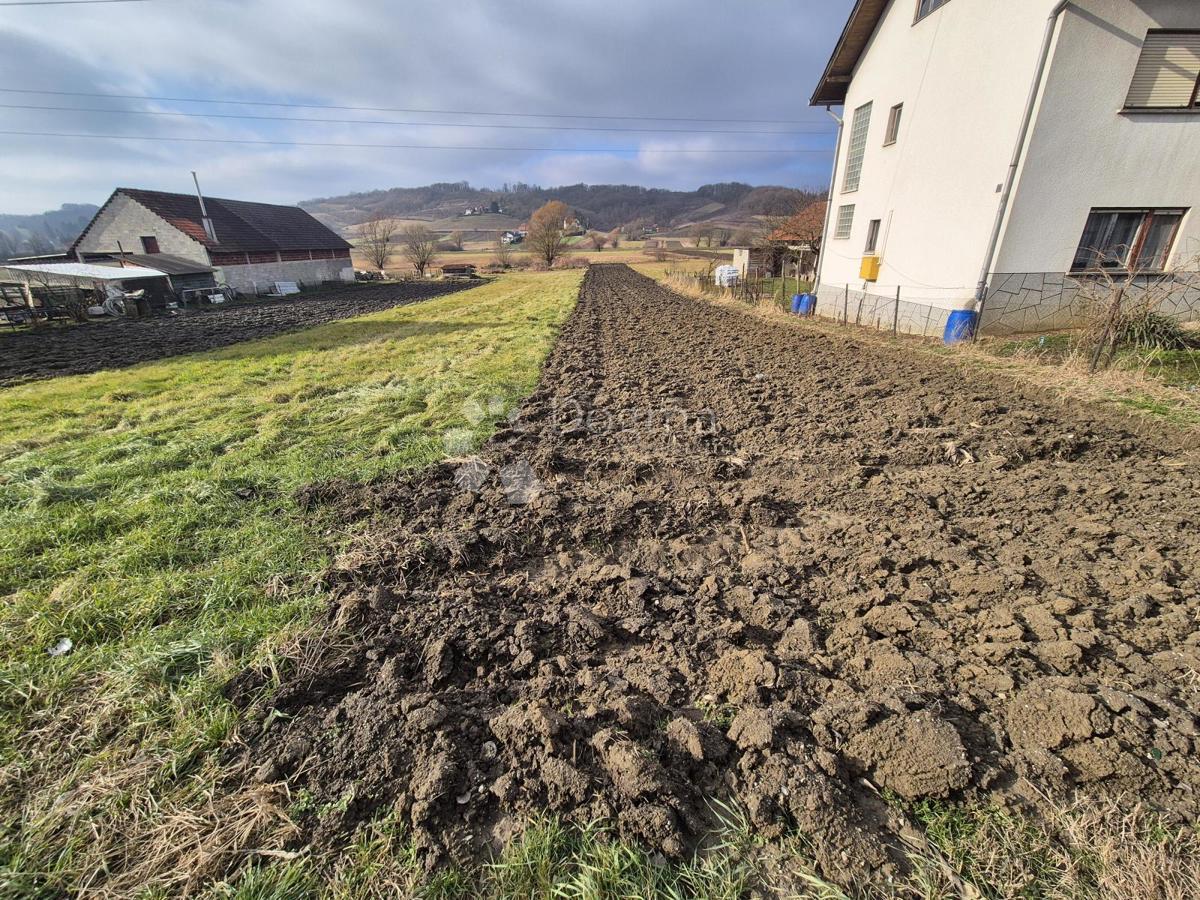 VIČA SELA