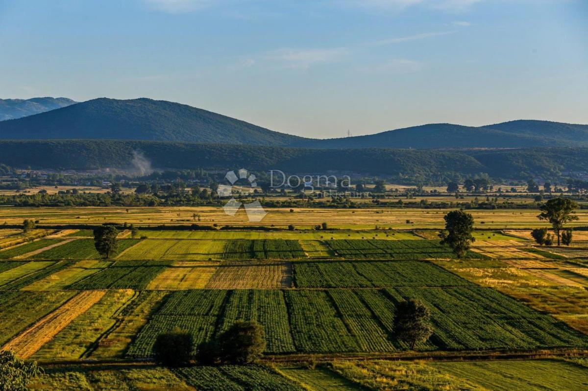 SINJ
