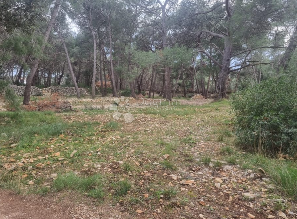 MALI LOŠINJ